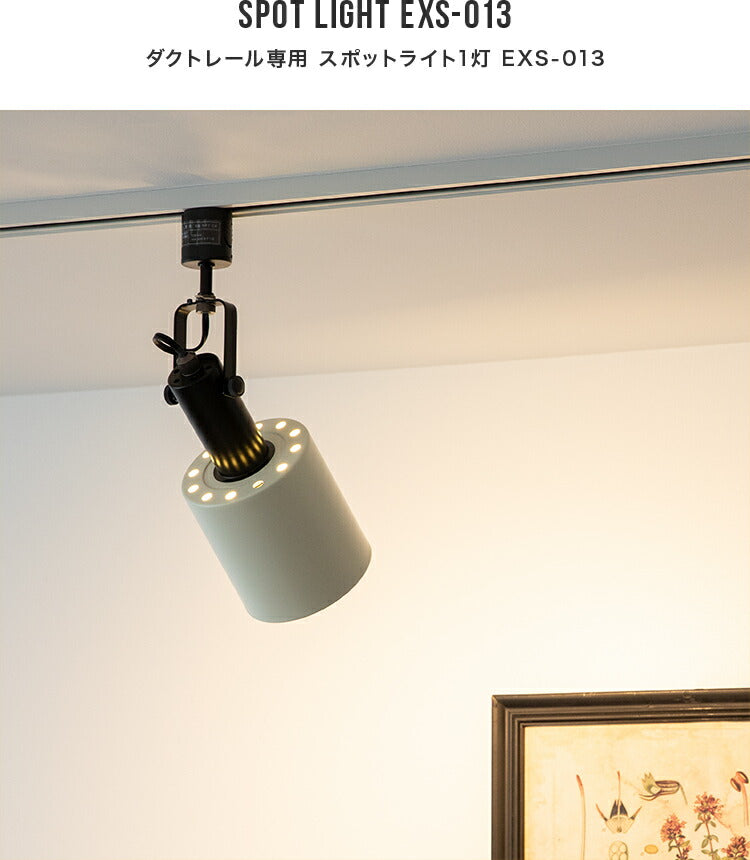シーリングライト 1灯 EXS-013（ダクトレール専用）