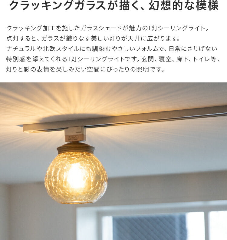 シーリングライト 1灯 EXS-014