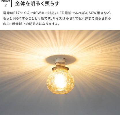 シーリングライト 1灯 EXS-014