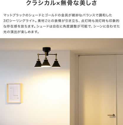 シーリングライト 1灯 EXS-015