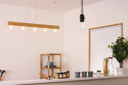 キャニオン ペンダントランプ Canyon pendant lamp