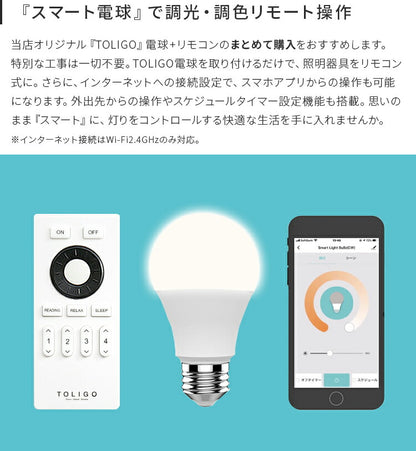 ペンダントライト 1灯 モアナ