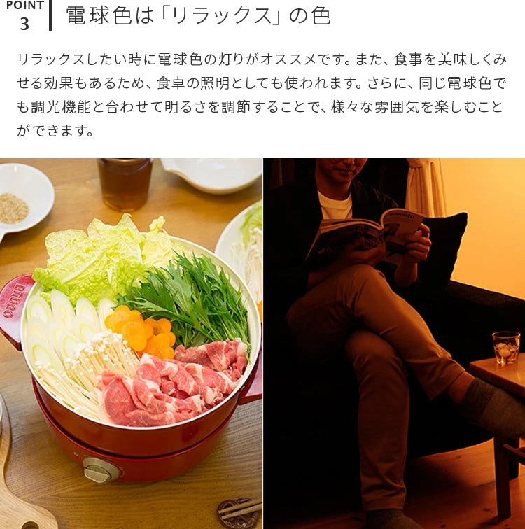 TOLIGO 調光調色LED電球 2.4G+wifi E26