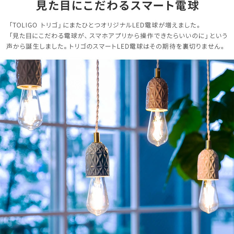 TOLIGO 調光エジソン電球 E26 ■4球セット