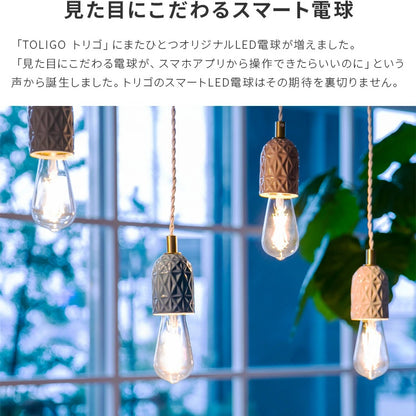 TOLIGO 調光エジソン電球 E26 ■4球セット
