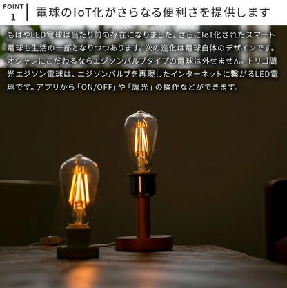 TOLIGO 調光エジソン電球 E26 ■4球セット
