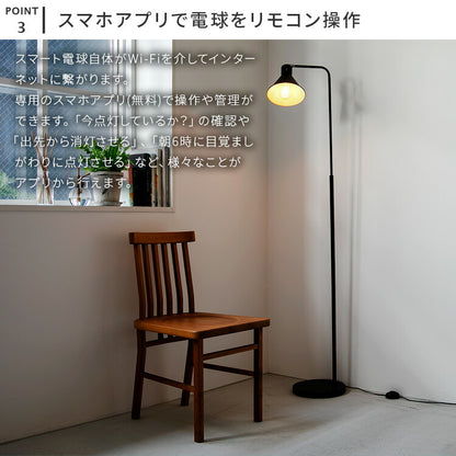 TOLIGO 調光エジソン電球E26