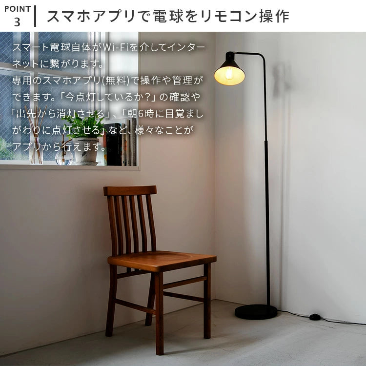 TOLIGO 調光エジソン電球 E26 ■4球セット