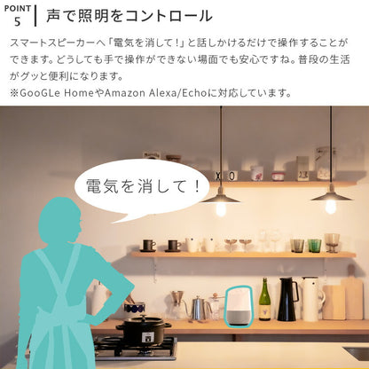 TOLIGO 調光エジソン電球E26