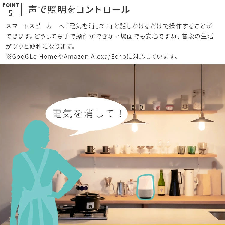 TOLIGO 調光エジソン電球 E26 ■4球セット