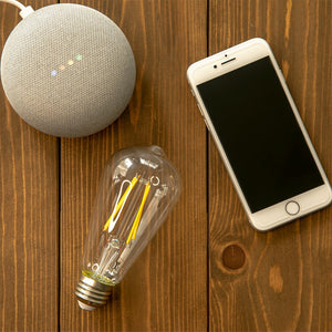 TOLIGO 調光エジソン電球E26