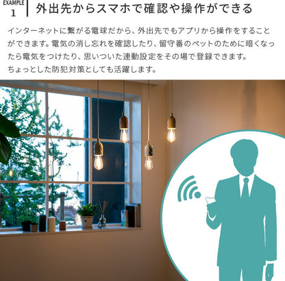 TOLIGO 調光エジソン電球E26