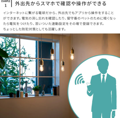 TOLIGO 調光エジソン電球 E26 ■4球セット