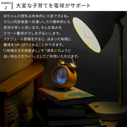 TOLIGO 調光エジソン電球E26
