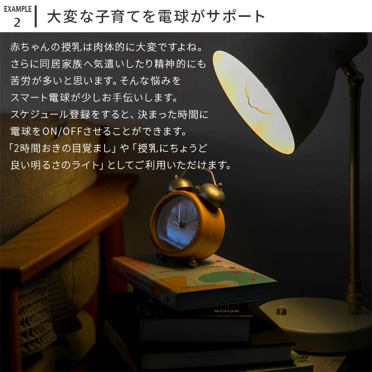 TOLIGO 調光エジソン電球 E26 ■4球セット