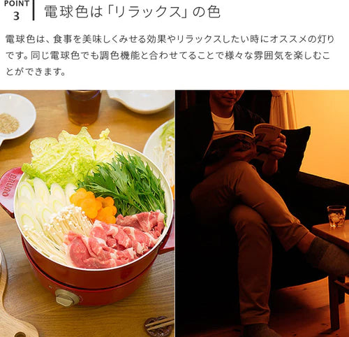 TOLIGO 調光調色LEDリモコン