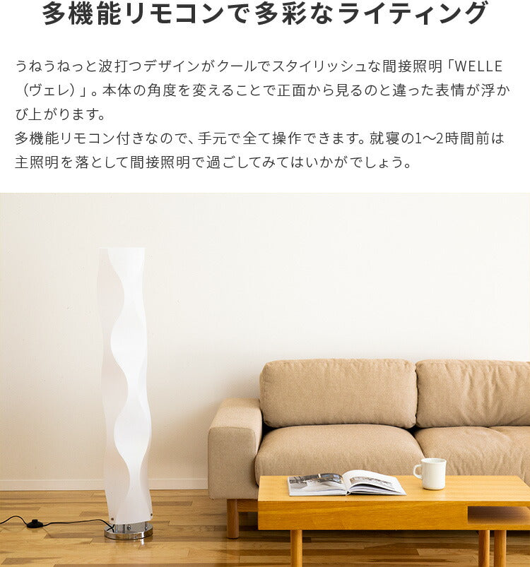 ヴェレリモート 2灯 本体+トリゴ