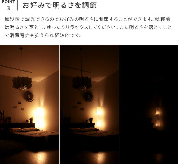 ヴェレリモート 2灯 本体+トリゴ
